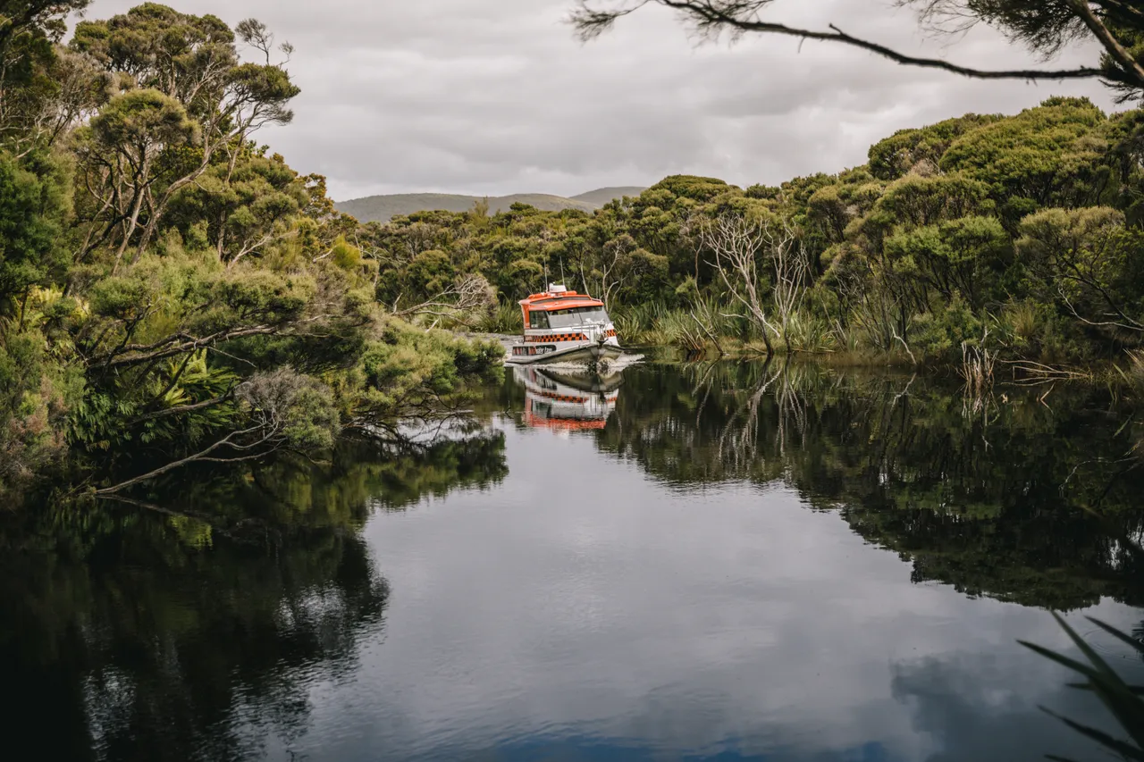 Mason Bay - Southland New Zealand - Credit Liz Carlson (27)
