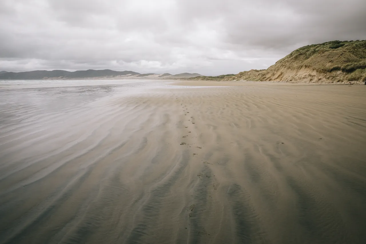 Mason Bay - Southland New Zealand - Credit Liz Carlson (5)