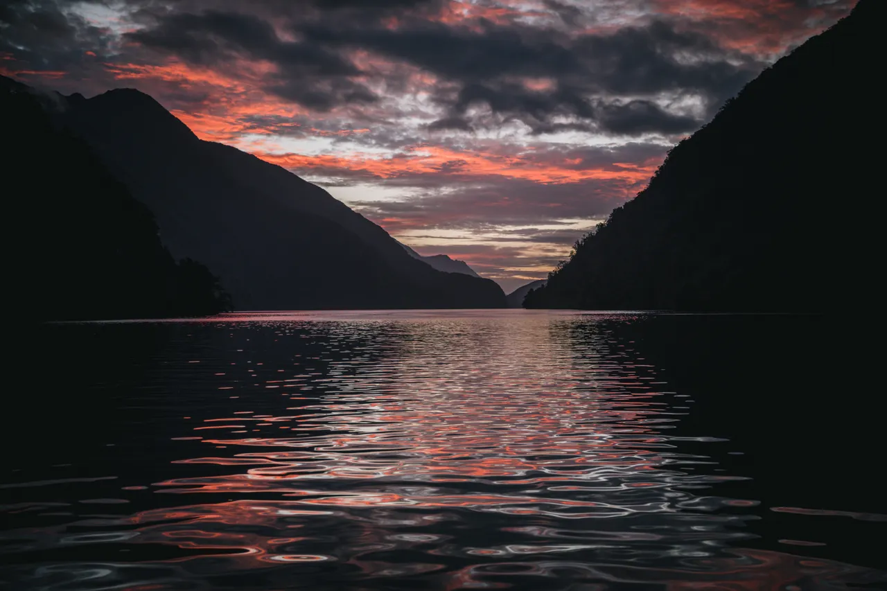 Wild Fiordland - Southland, New Zealand - Credit Liz Carlson (101)