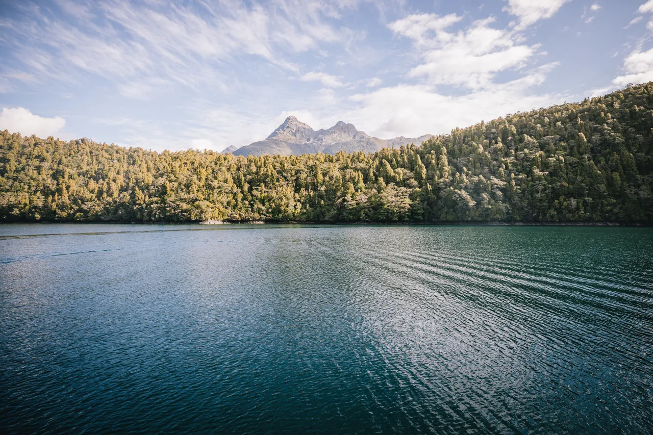 Wild Fiordland - Southland, New Zealand - Credit Liz Carlson (88)