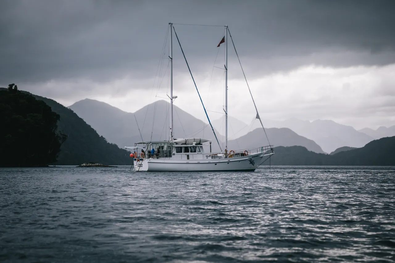 Wild Fiordland - Southland, New Zealand - Credit Liz Carlson (122)