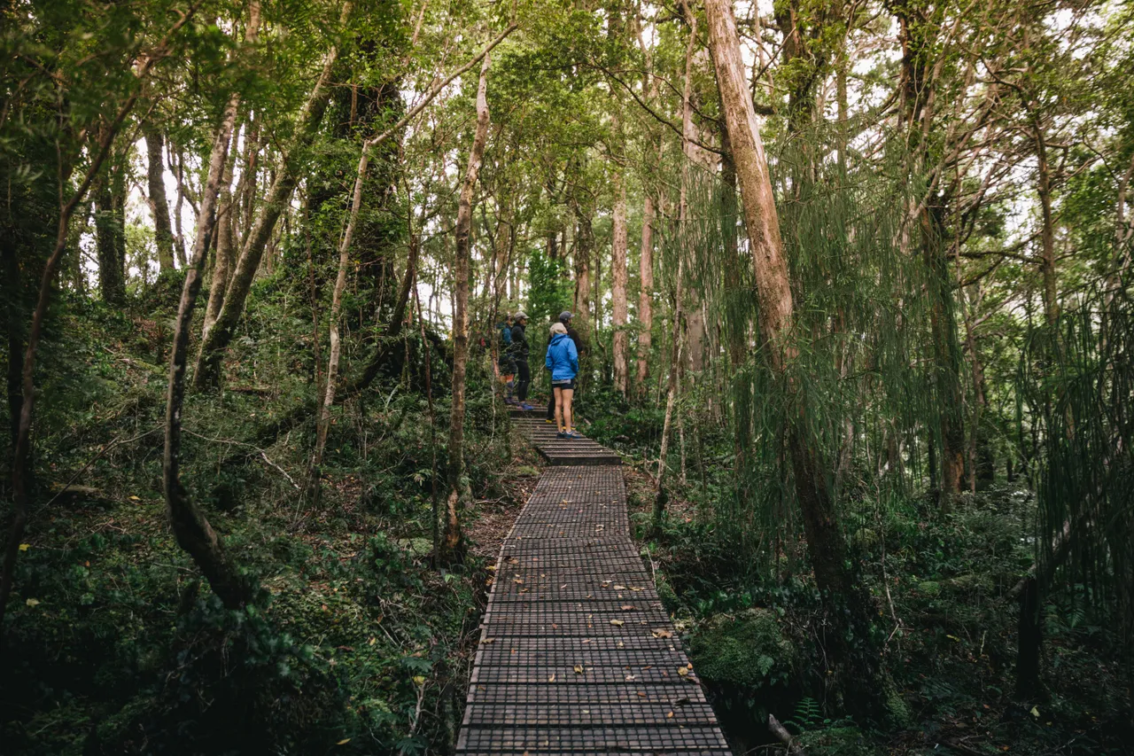 Wild Fiordland - Southland, New Zealand - Credit Liz Carlson (123)