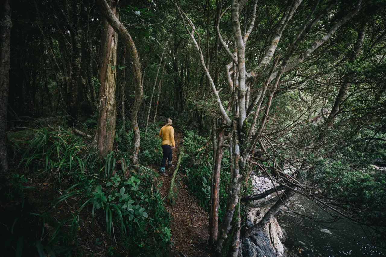 Wild Fiordland - Southland, New Zealand - Credit Liz Carlson (127)