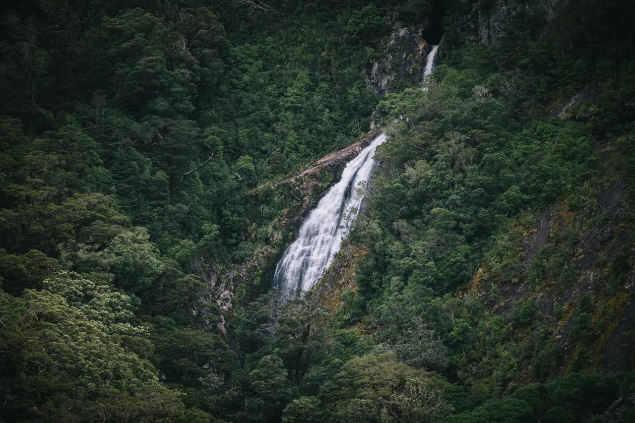 Wild Fiordland - Southland, New Zealand - Credit Liz Carlson (118)