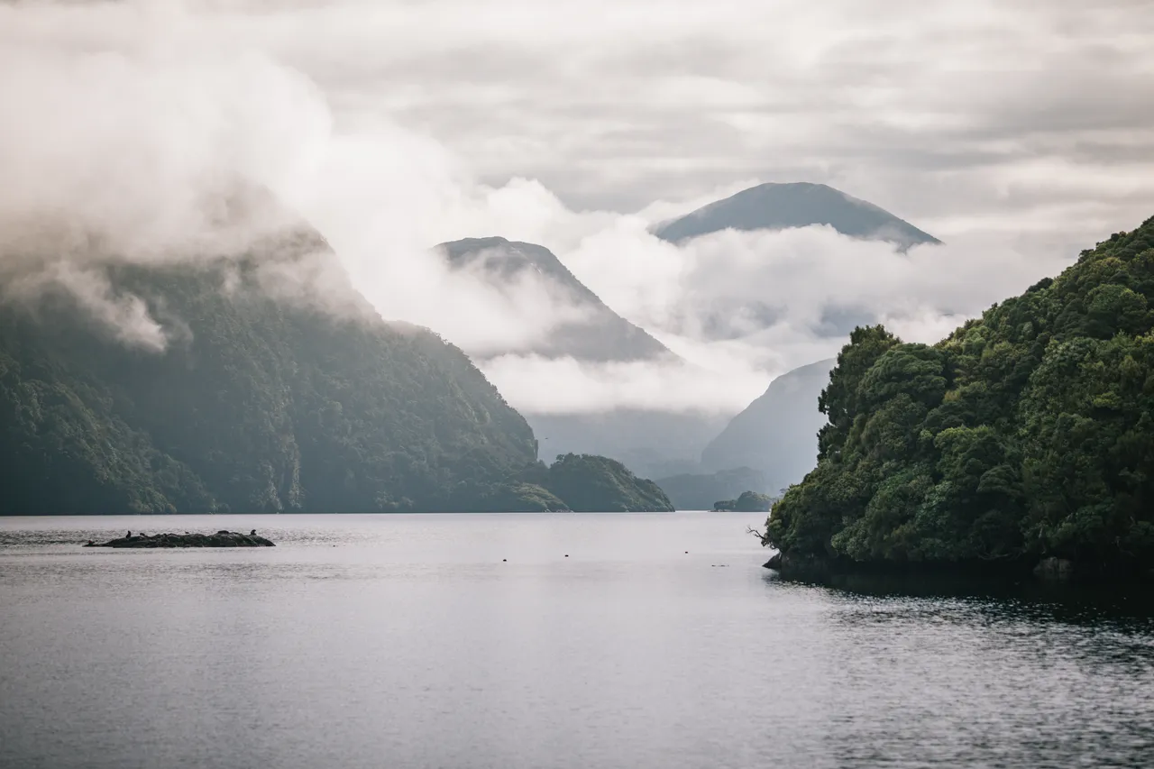 Wild Fiordland - Southland, New Zealand - Credit Liz Carlson (76)