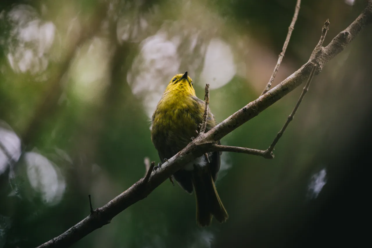 Wild Fiordland - Southland, New Zealand - Credit Liz Carlson (71)
