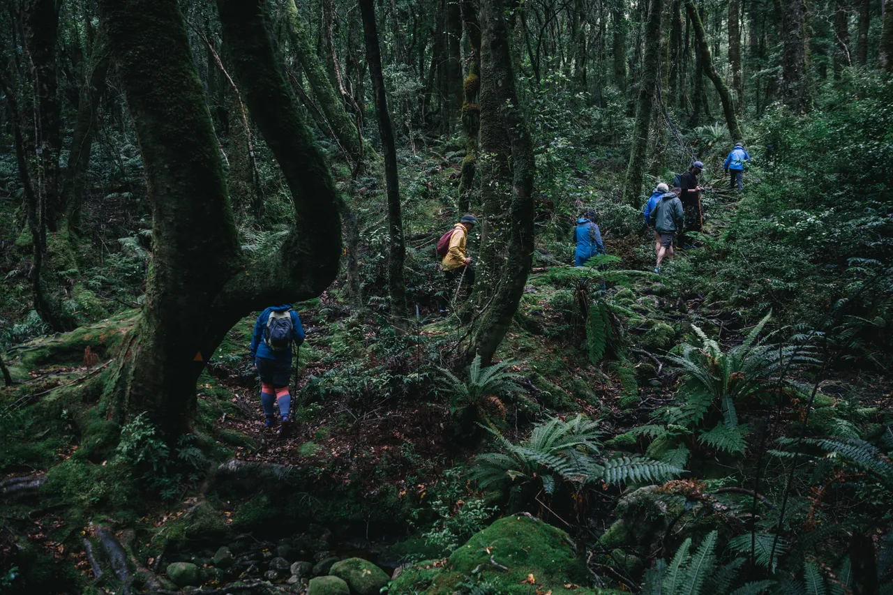 Wild Fiordland - Southland, New Zealand - Credit Liz Carlson (66)