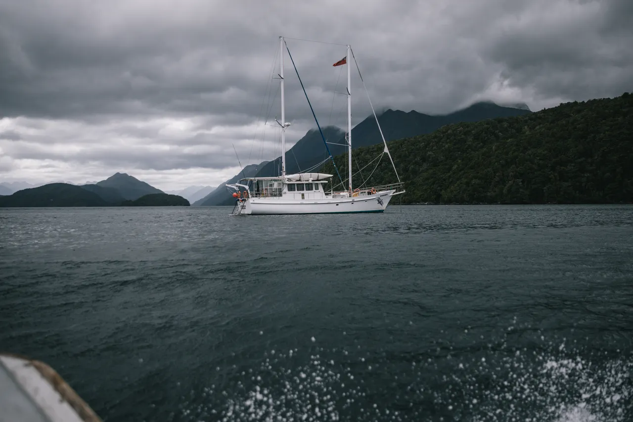 Wild Fiordland - Southland, New Zealand - Credit Liz Carlson (3)