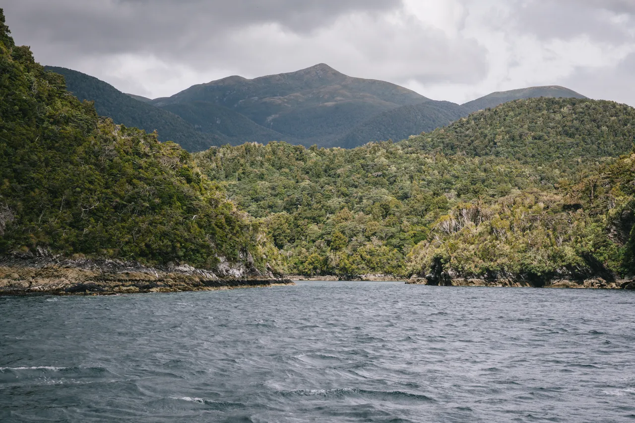 Wild Fiordland - Southland, New Zealand - Credit Liz Carlson (6)