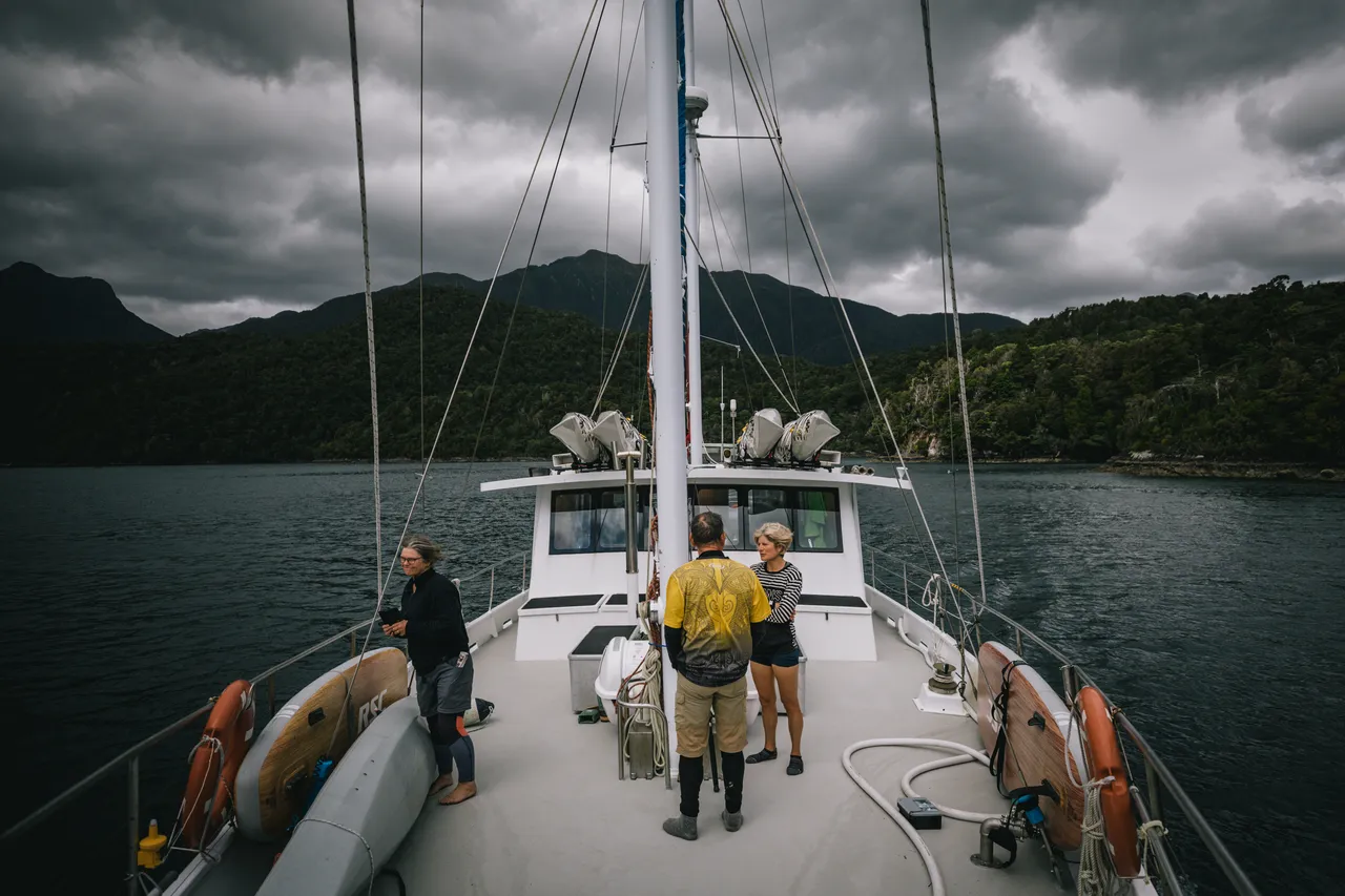 Wild Fiordland - Southland, New Zealand - Credit Liz Carlson (5)