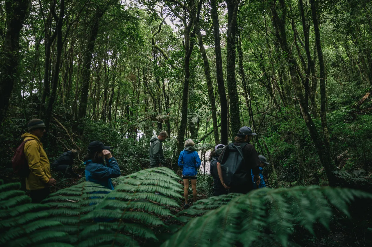 Wild Fiordland - Southland, New Zealand - Credit Liz Carlson (65)