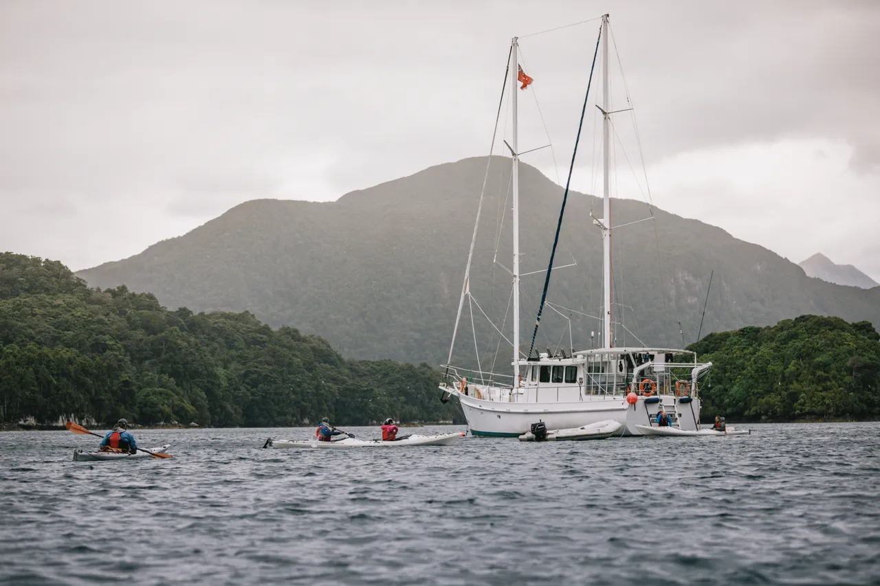 Wild Fiordland - Southland, New Zealand - Credit Liz Carlson (64)