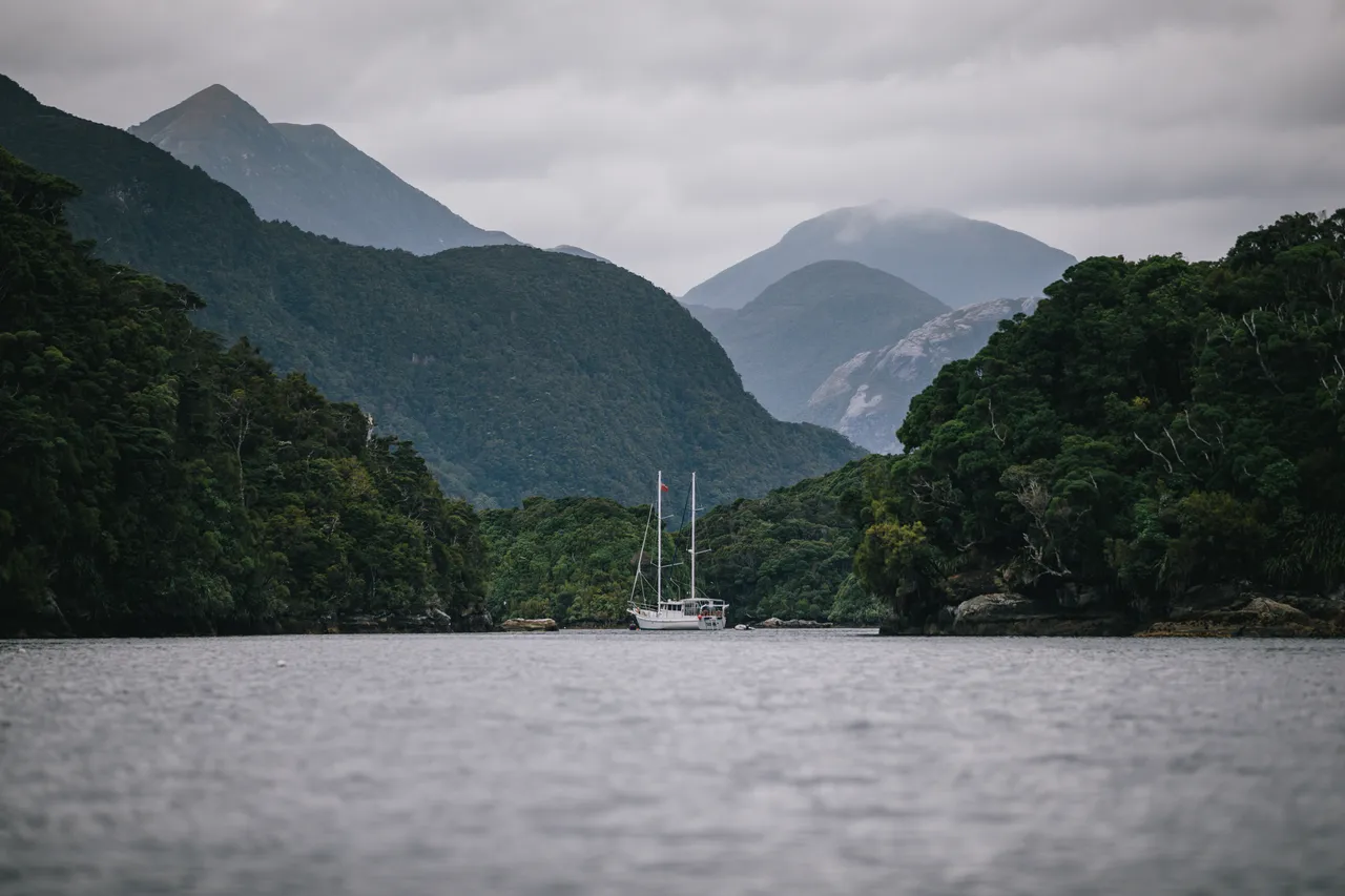 Wild Fiordland - Southland, New Zealand - Credit Liz Carlson (60)