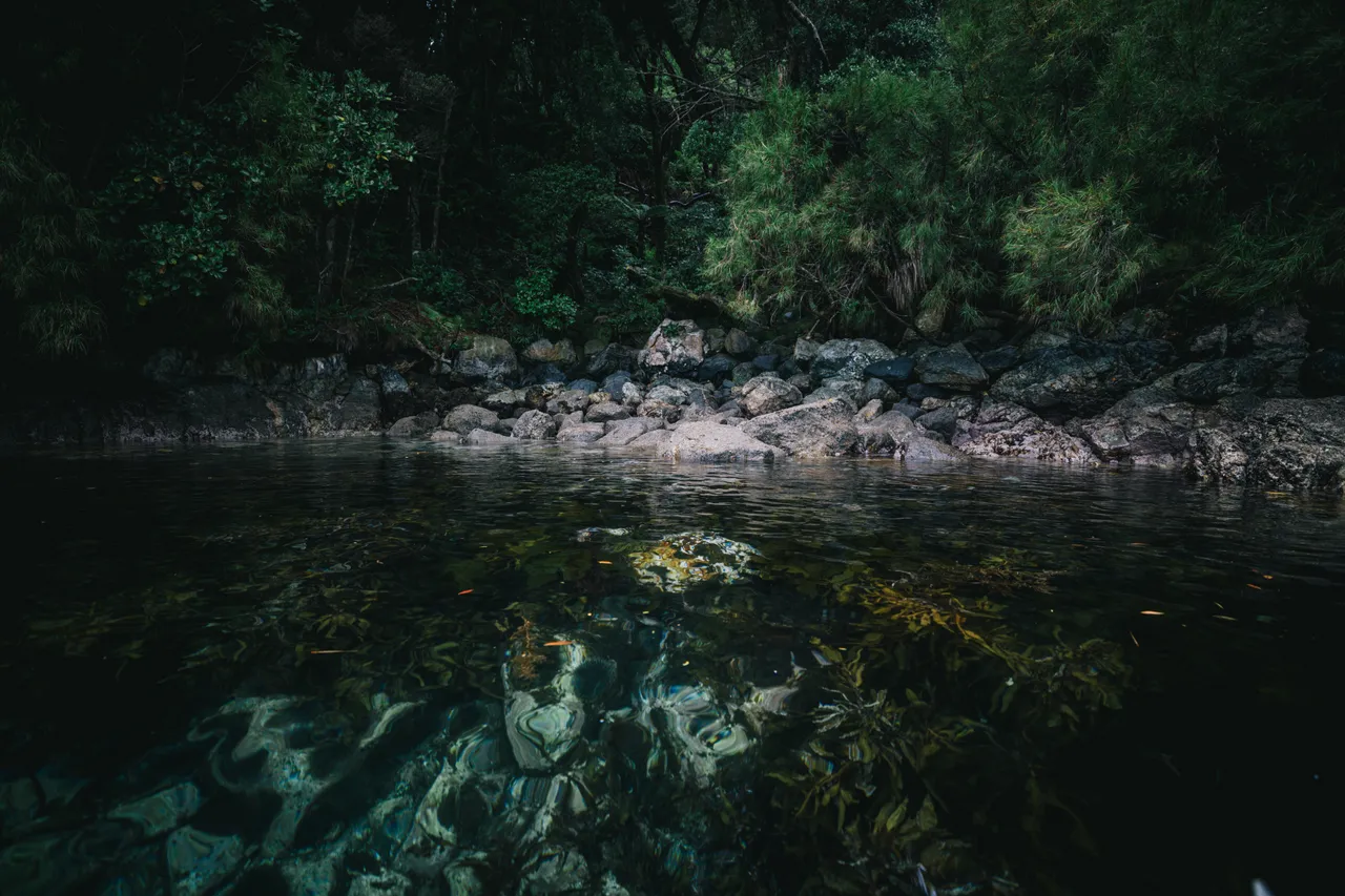 Wild Fiordland - Southland, New Zealand - Credit Liz Carlson (57)