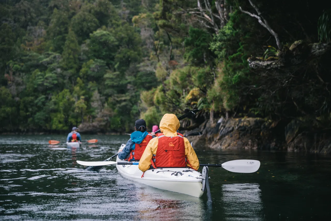 Wild Fiordland - Southland, New Zealand - Credit Liz Carlson (50)