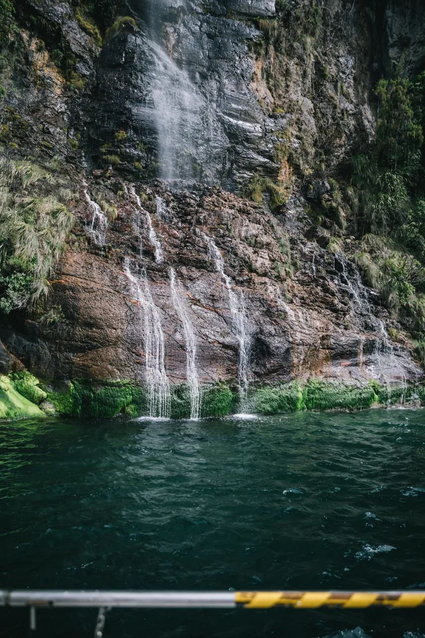 Wild Fiordland - Southland, New Zealand - Credit Liz Carlson (116)