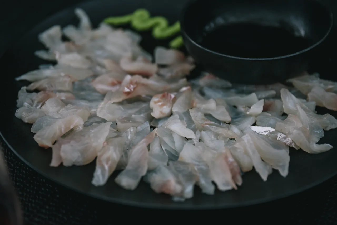 Wild Fiordland - Southland, New Zealand - Credit Liz Carlson (29)