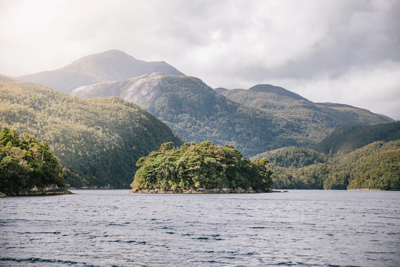 Wild Fiordland - Southland, New Zealand - Credit Liz Carlson (21)
