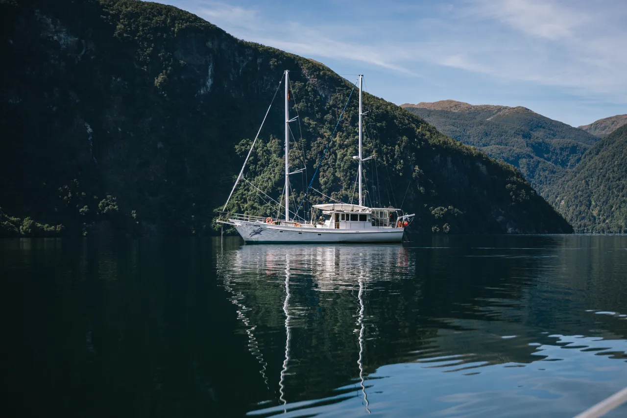 Wild Fiordland - Southland, New Zealand - Credit Liz Carlson (111)