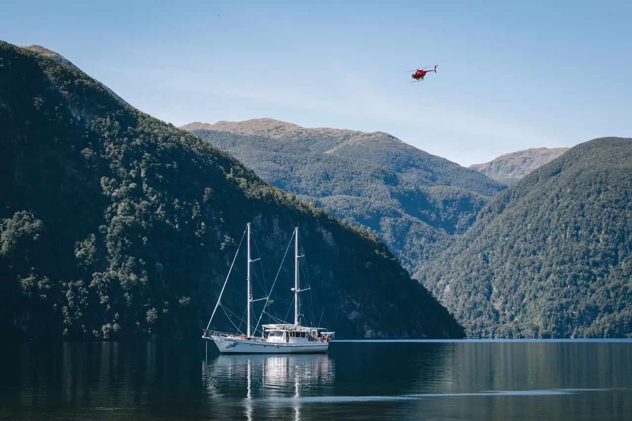 Wild Fiordland - Southland, New Zealand - Credit Liz Carlson (110)