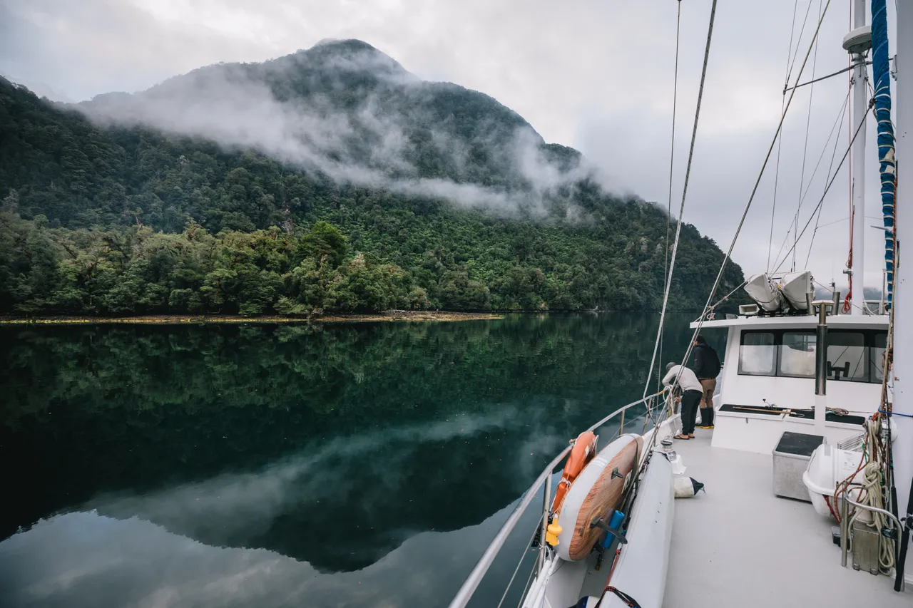 Wild Fiordland - Southland, New Zealand - Credit Liz Carlson (105)