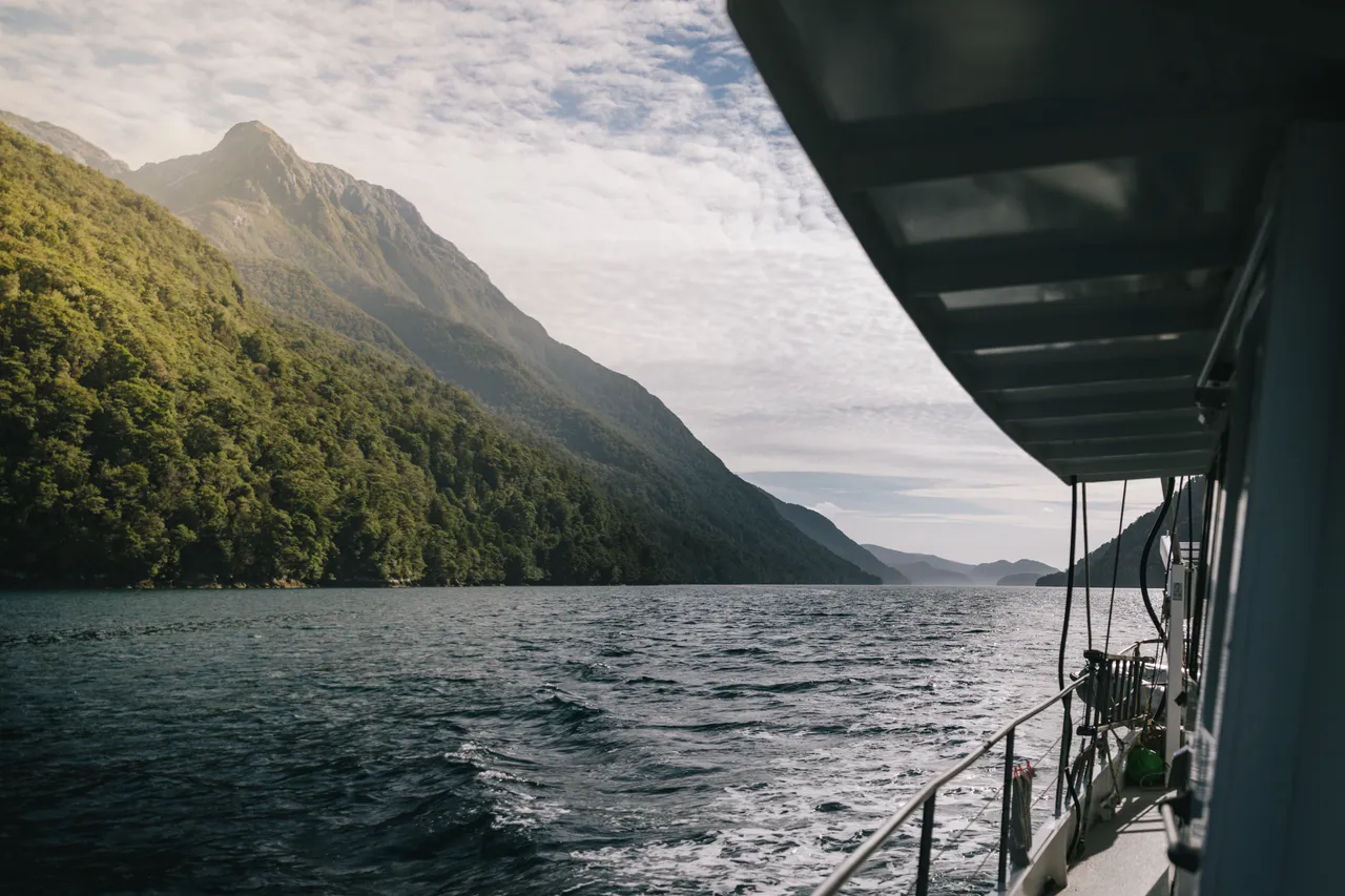 Wild Fiordland - Southland, New Zealand - Credit Liz Carlson (85)