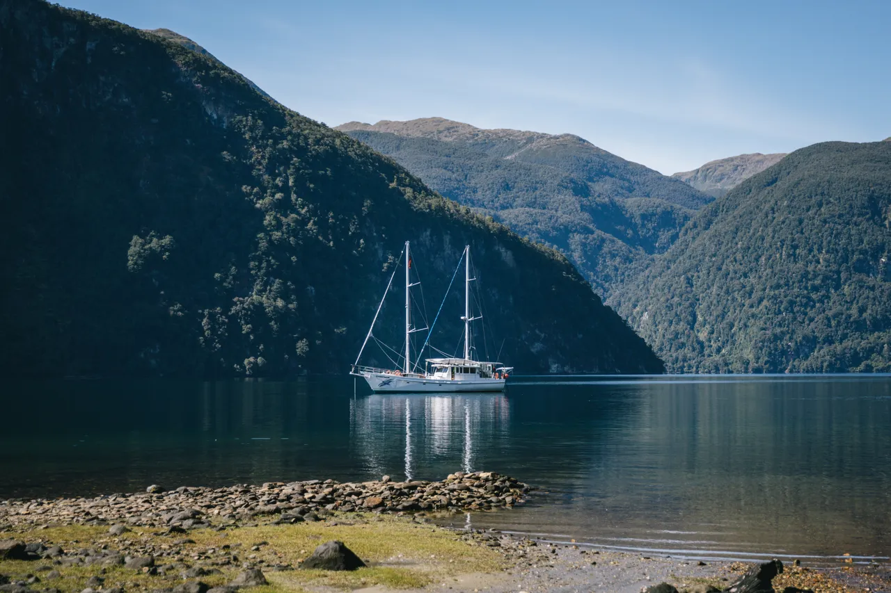 Wild Fiordland - Southland, New Zealand - Credit Liz Carlson (109)