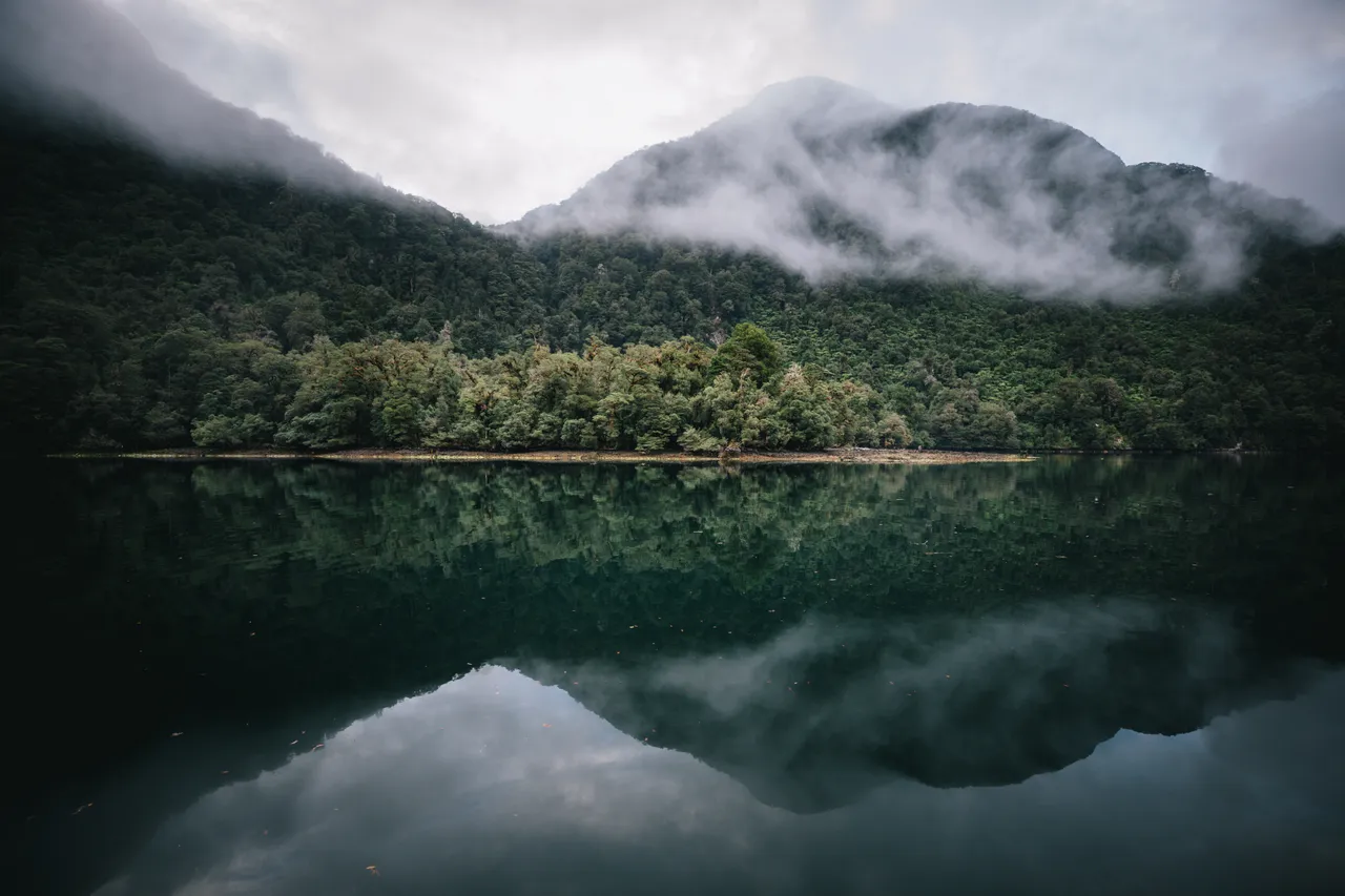 Wild Fiordland - Southland, New Zealand - Credit Liz Carlson (104)