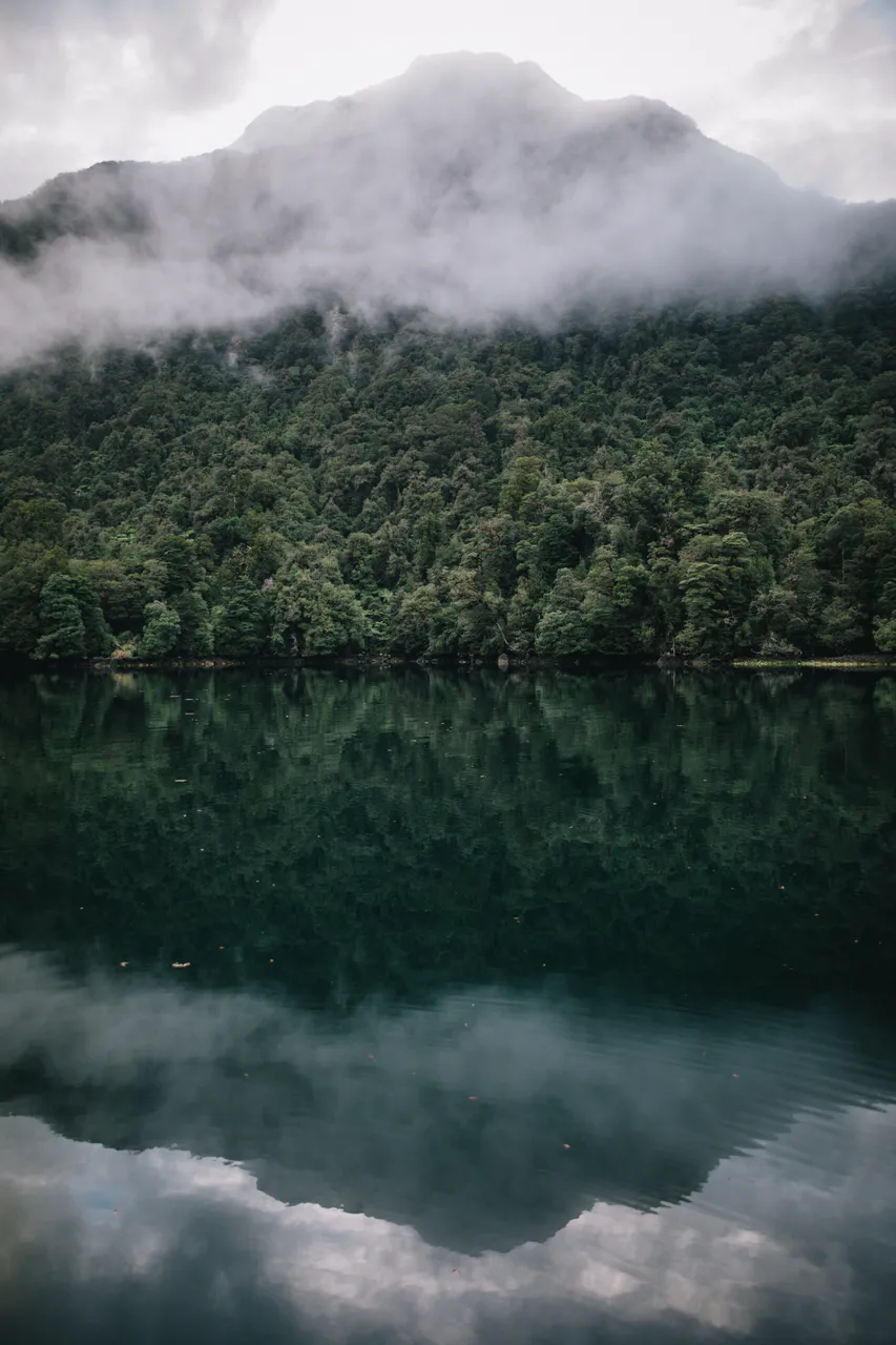 Wild Fiordland - Southland, New Zealand - Credit Liz Carlson (103)