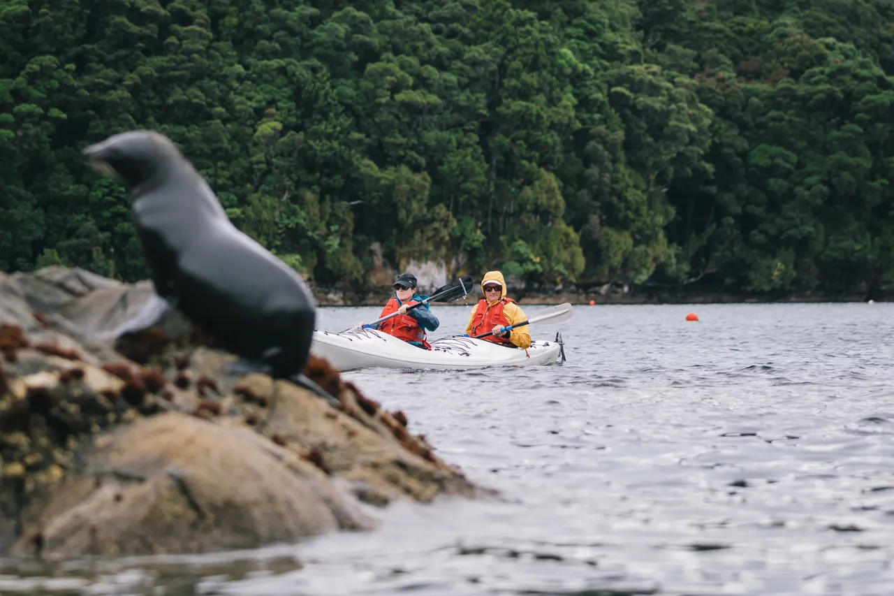 Wild Fiordland - Southland, New Zealand - Credit Liz Carlson (45)