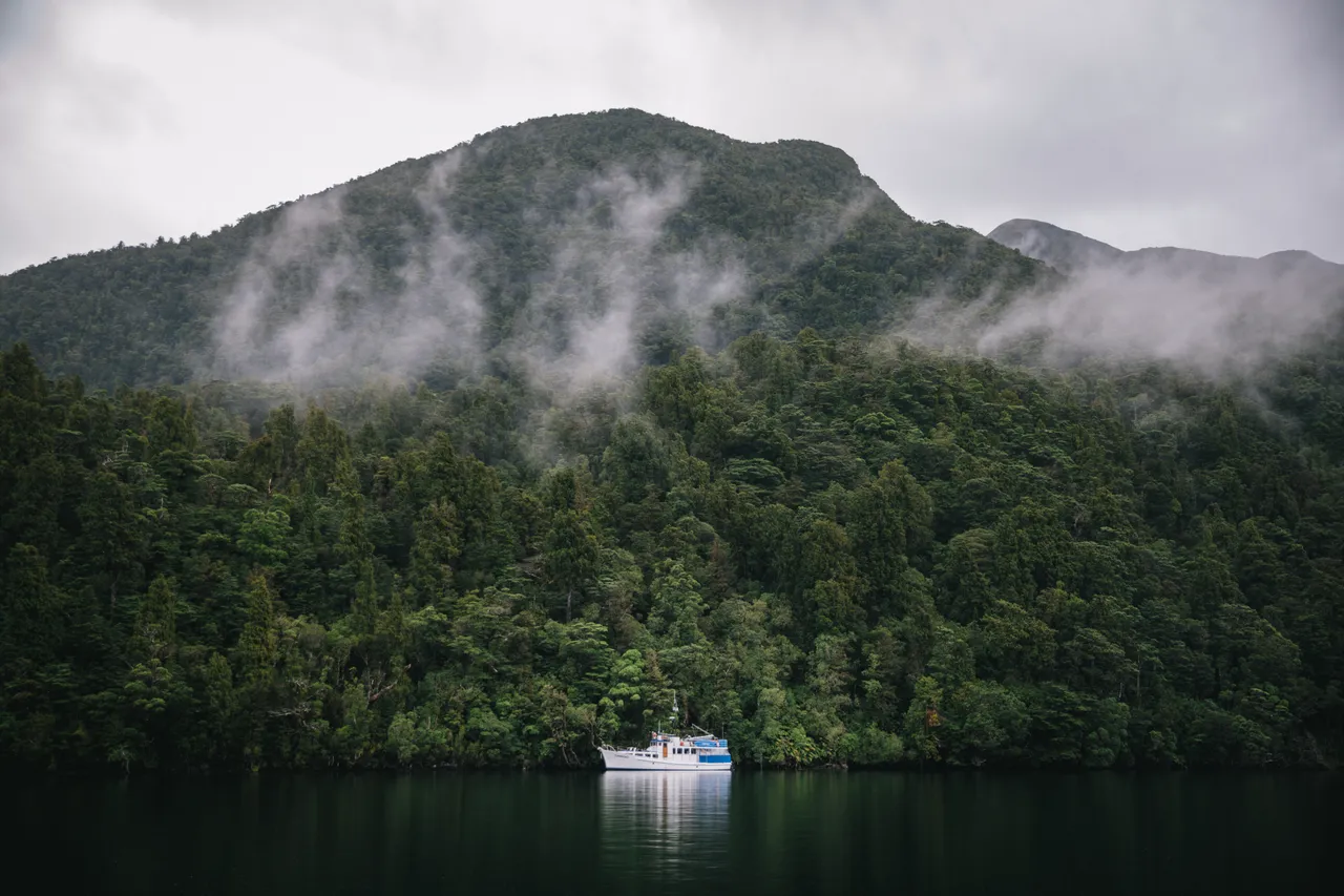 Wild Fiordland - Southland, New Zealand - Credit Liz Carlson (36)