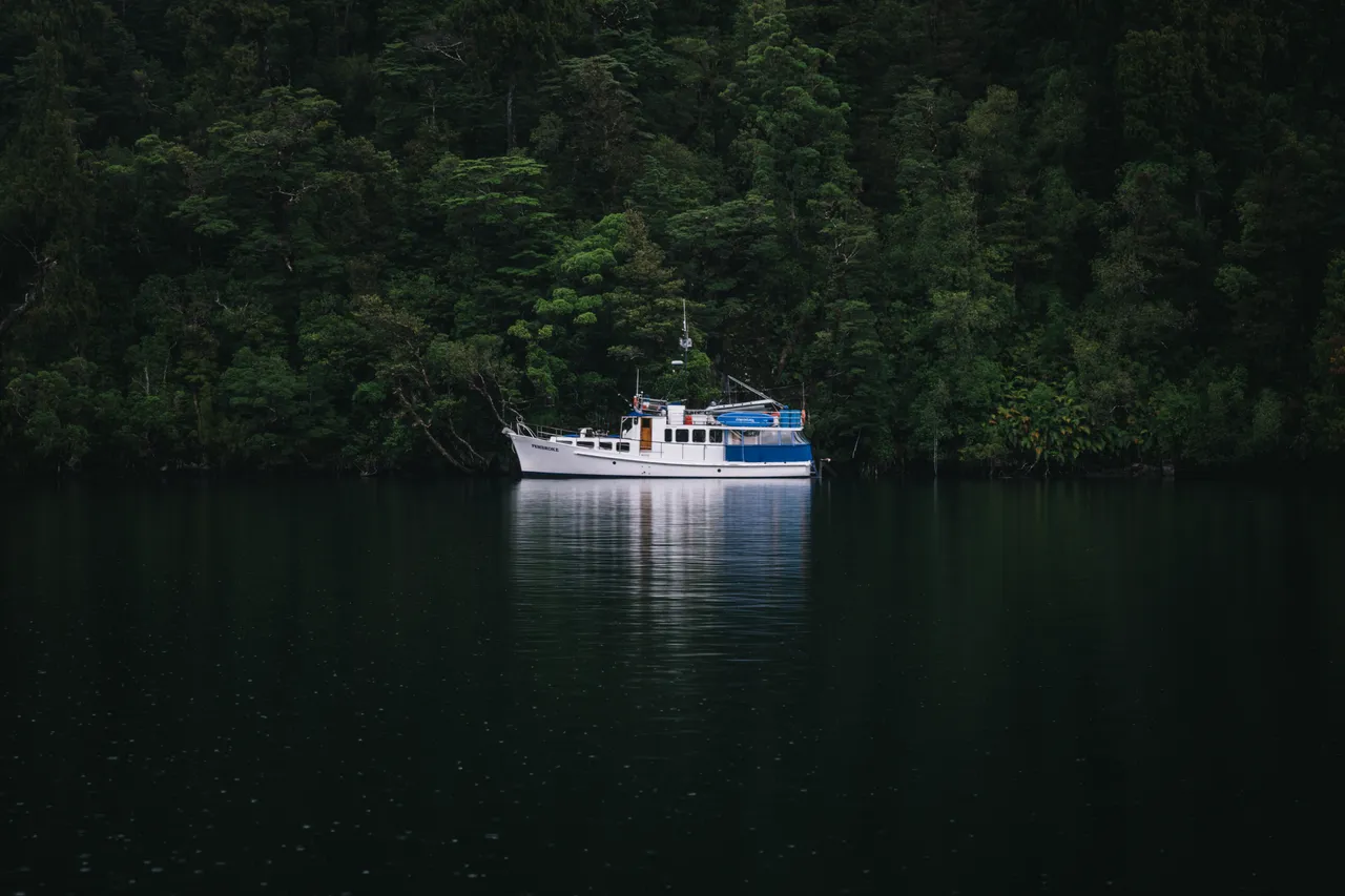 Wild Fiordland - Southland, New Zealand - Credit Liz Carlson (35)
