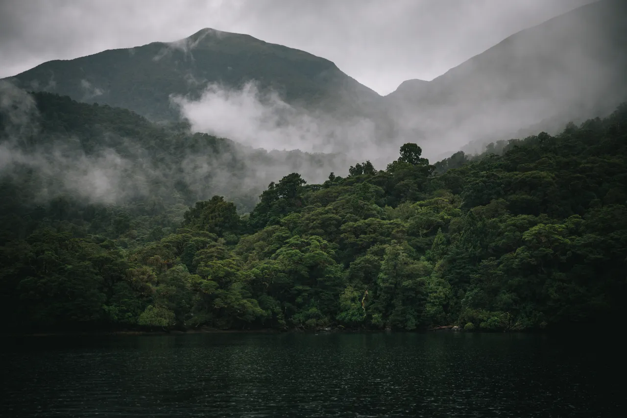 Wild Fiordland - Southland, New Zealand - Credit Liz Carlson (34)