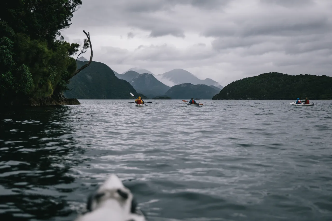 Wild Fiordland - Southland, New Zealand - Credit Liz Carlson (37)