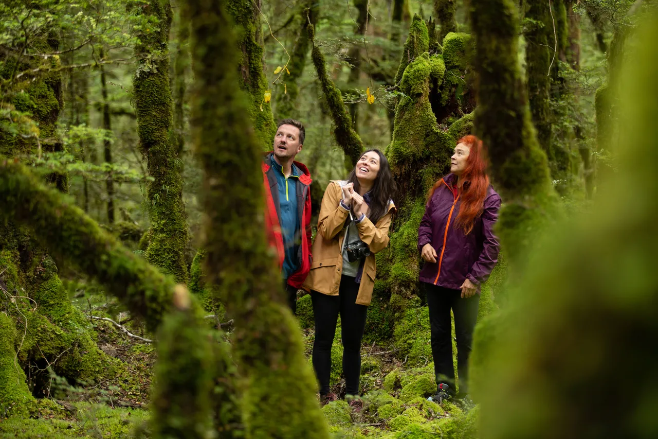Lake Gunn Nature Walk - Southland, New Zealand - Credit Great South (1)