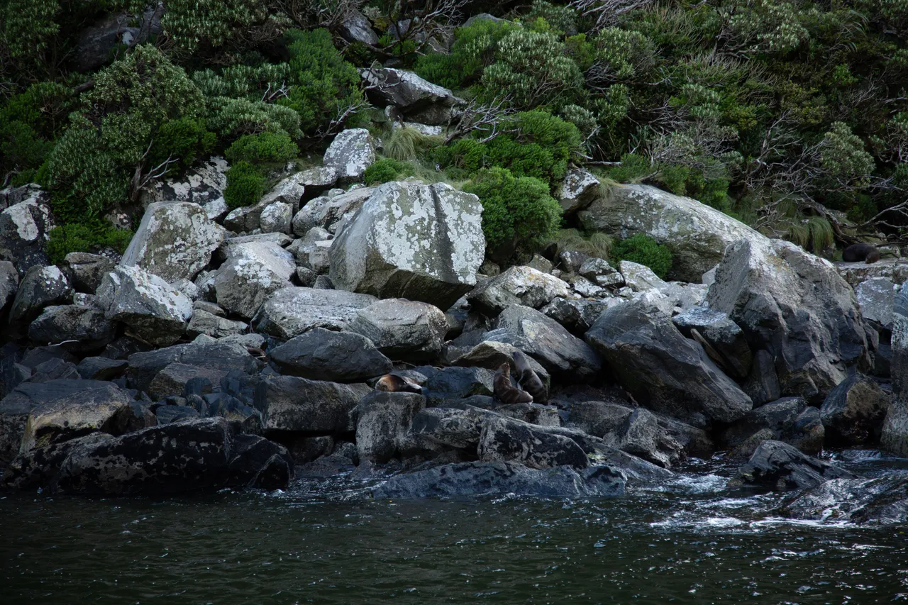 Milford Sound - Southland, New Zealand - Credit Great South (9)