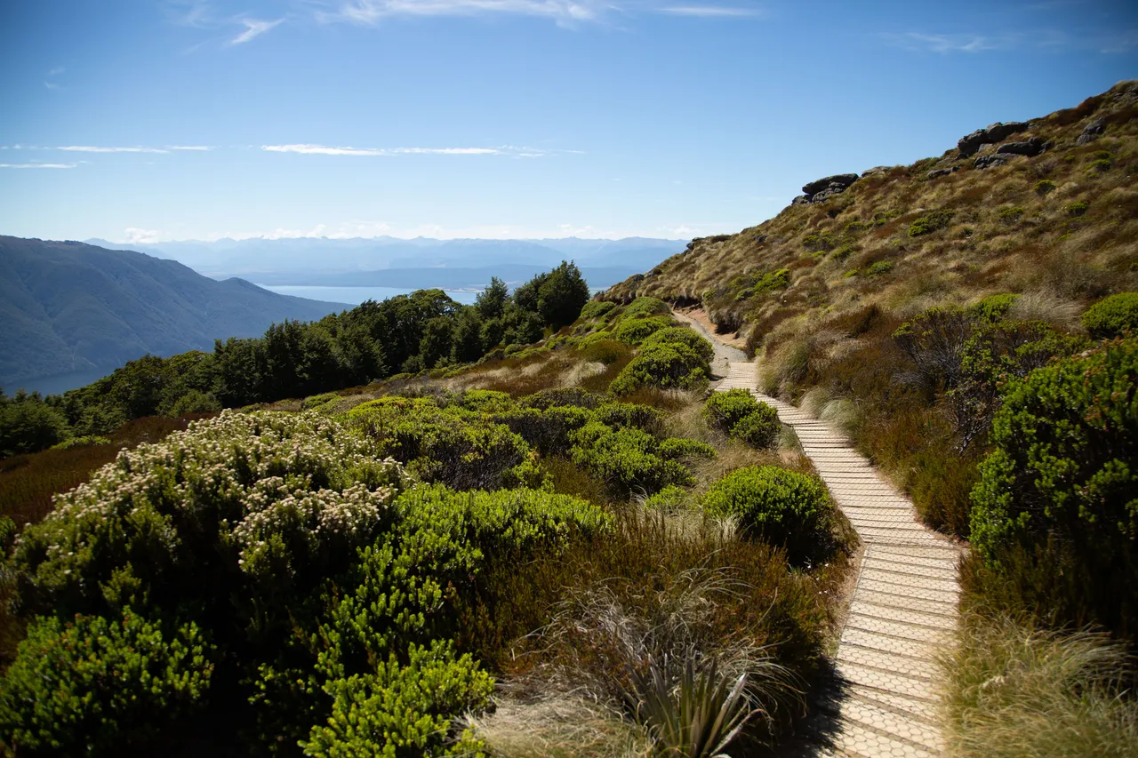 Kepler Track - Southland, New Zealand - Credit Great South (11)