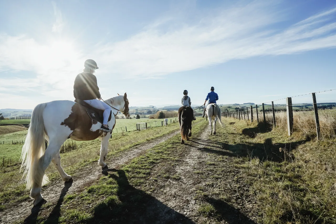 Embrace Equine - Southland, New Zealand - Credit Great South (9)