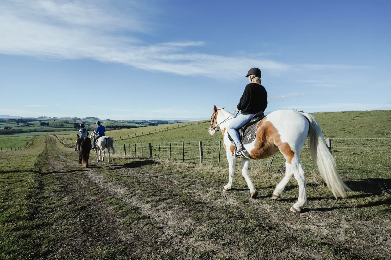 Embrace Equine - Southland, New Zealand - Credit Great South (8)