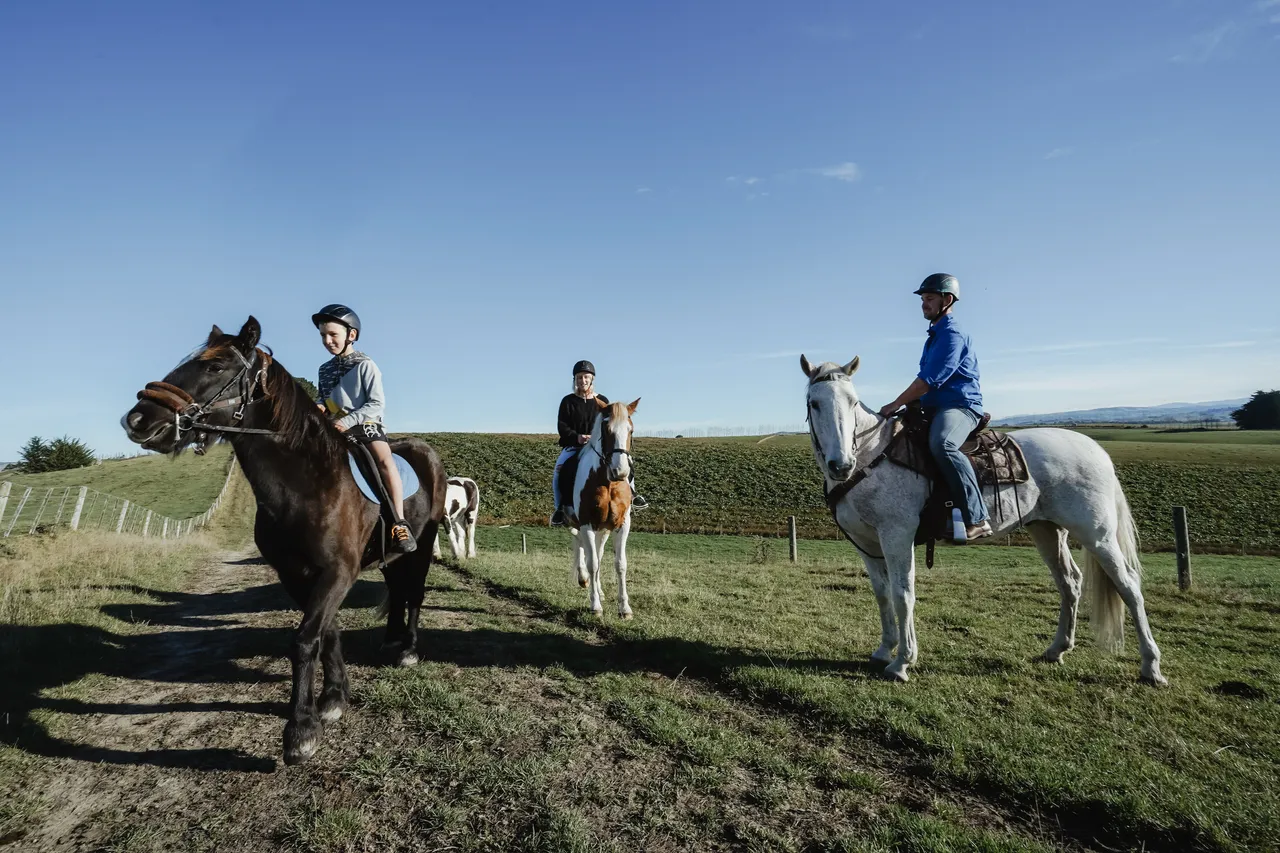 Embrace Equine - Southland, New Zealand - Credit Great South (7)