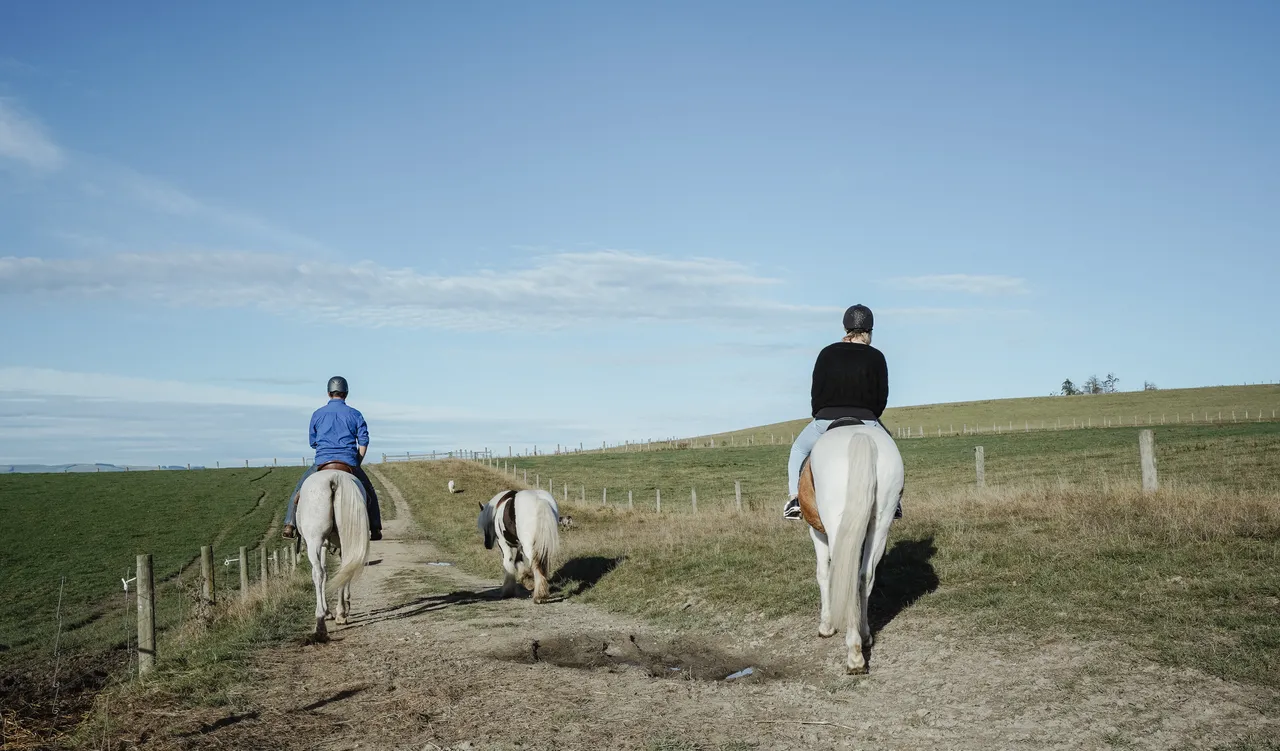 Embrace Equine - Southland, New Zealand - Credit Great South (6)