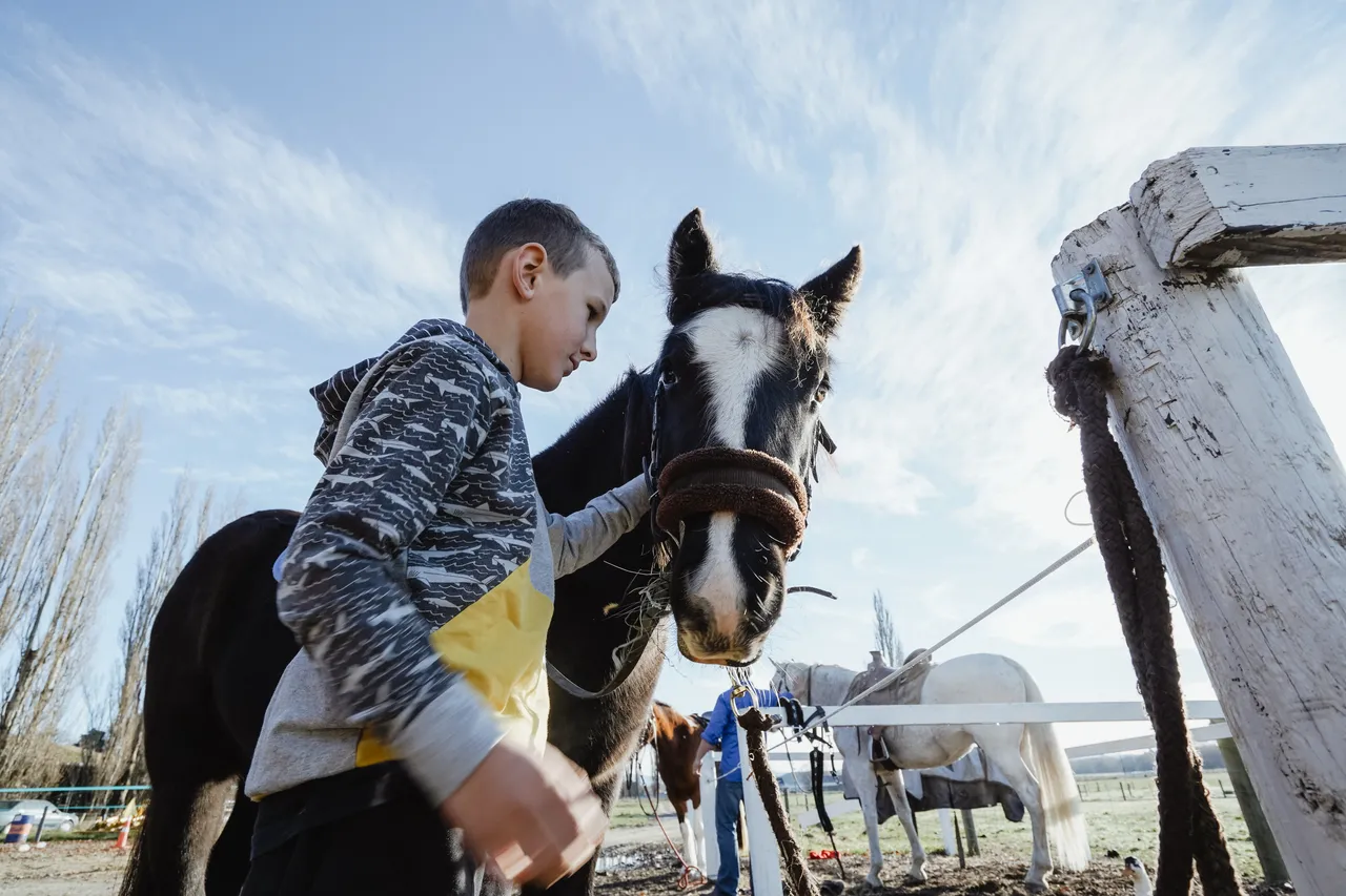 Embrace Equine - Southland, New Zealand - Credit Great South (3)