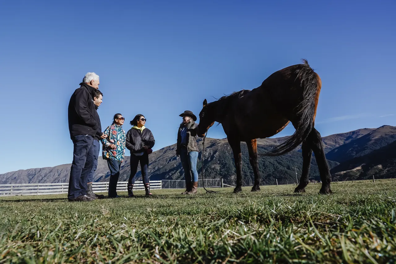 Real Country - Southland New Zealand - Credit Great South (1)
