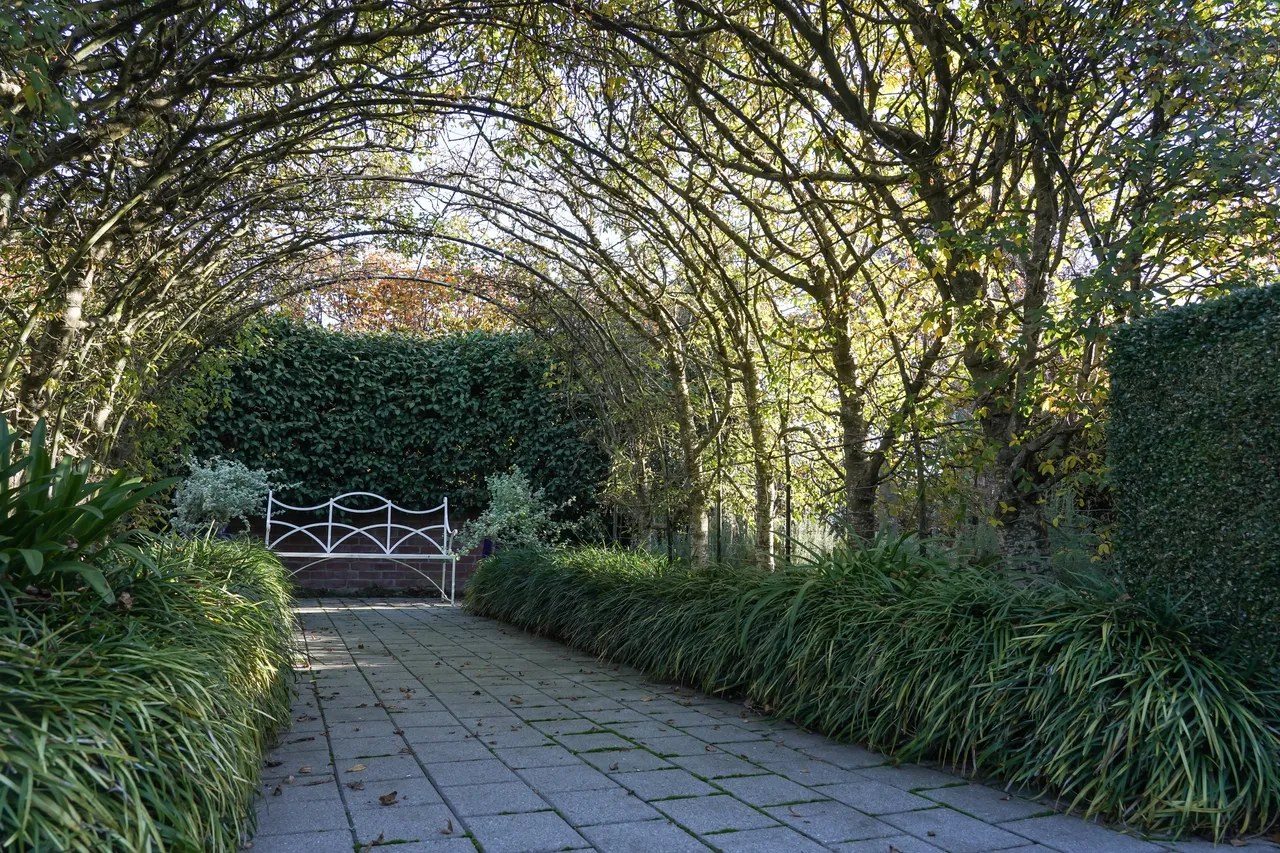 Castlemaine Garden - Southland, New Zealand - Credit Great South (8)