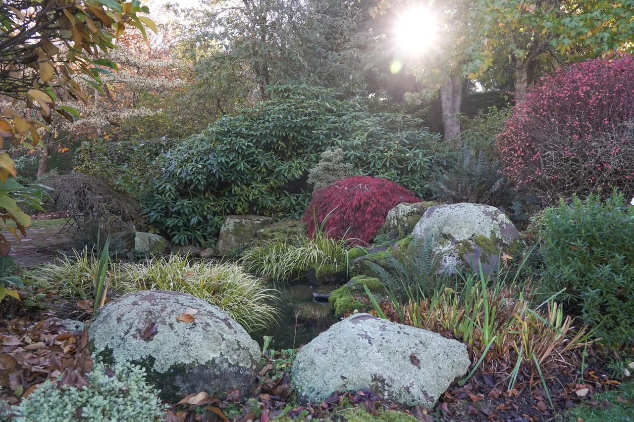 Castlemaine Garden - Southland, New Zealand - Credit Great South (6)