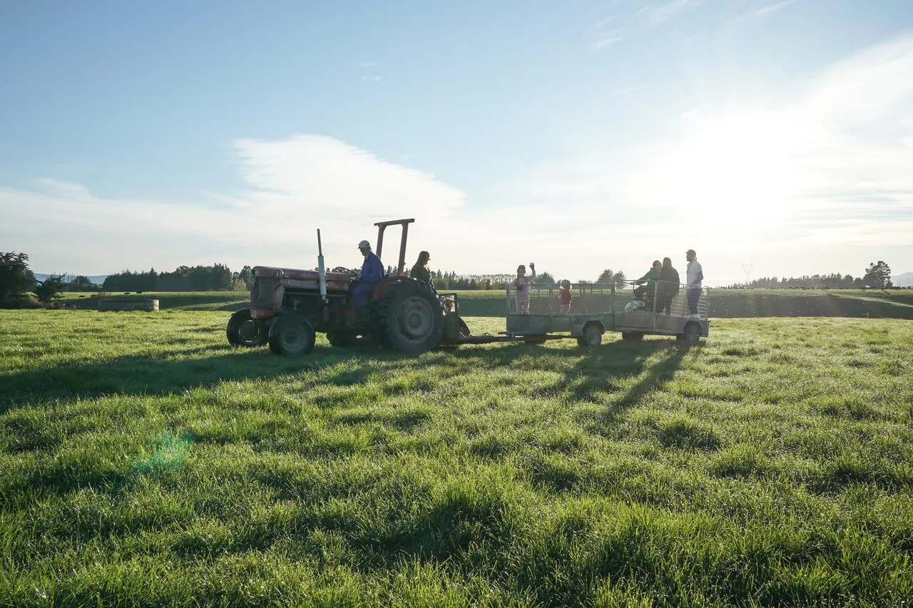 Dairy Pryde - Southland, New Zealand - Credit Great South (22)