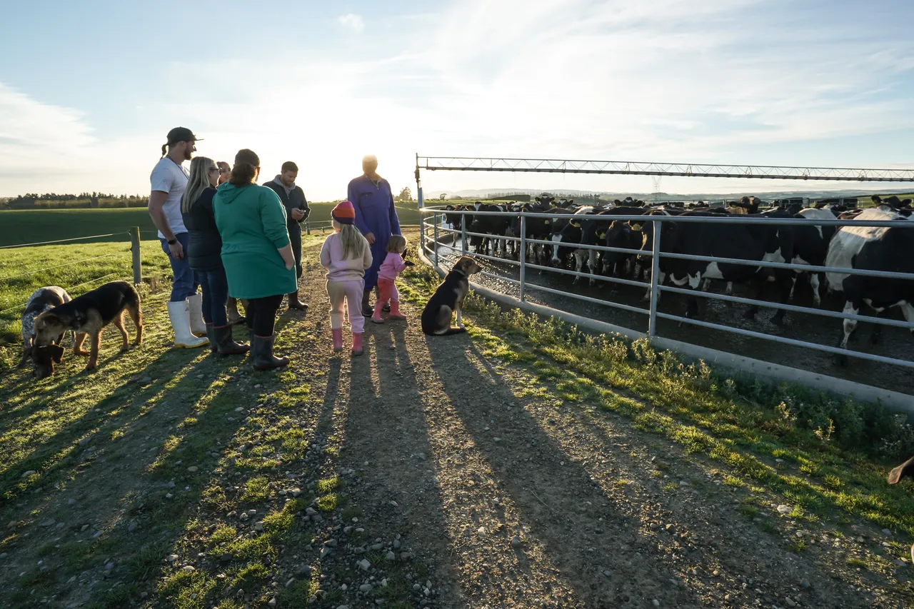 Dairy Pryde - Southland, New Zealand - Credit Great South (16)