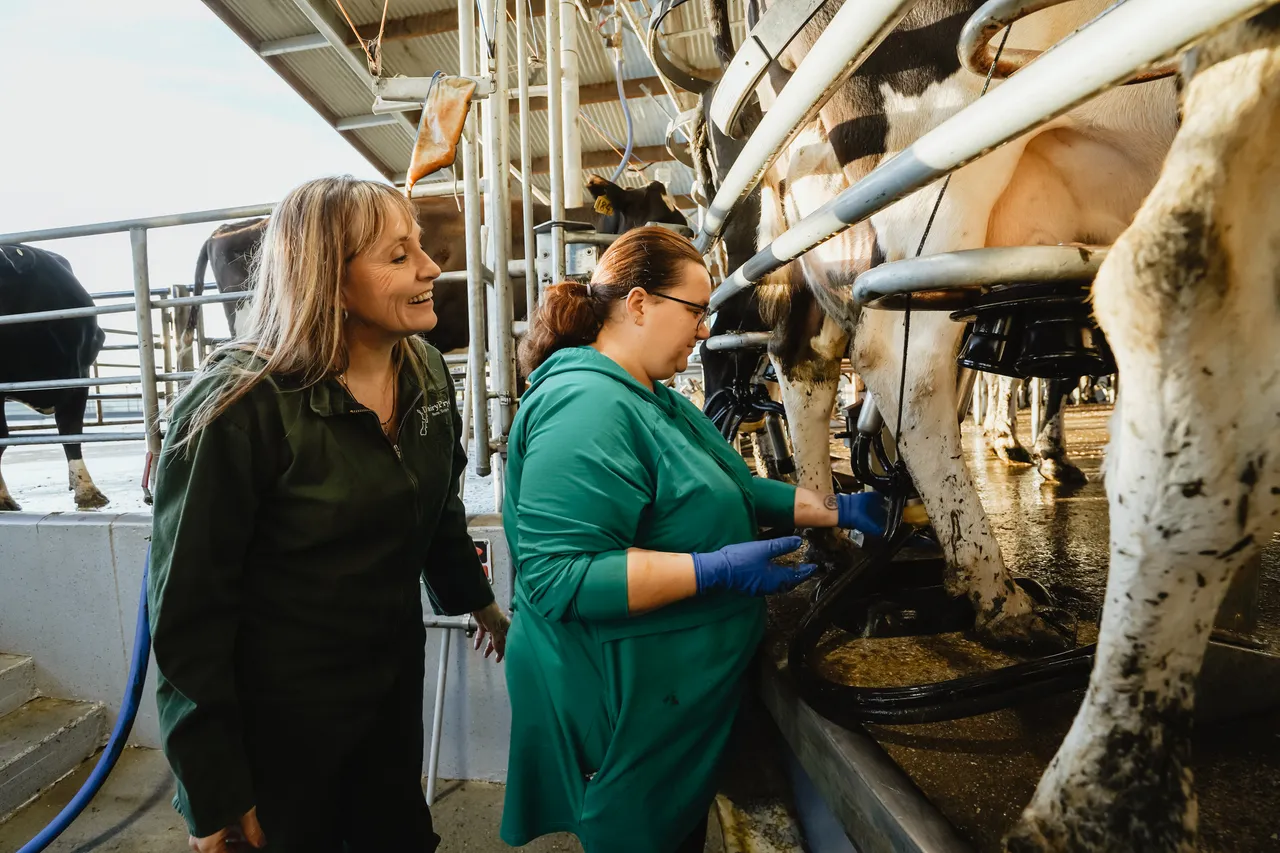Dairy Pryde - Southland, New Zealand - Credit Great South (13)