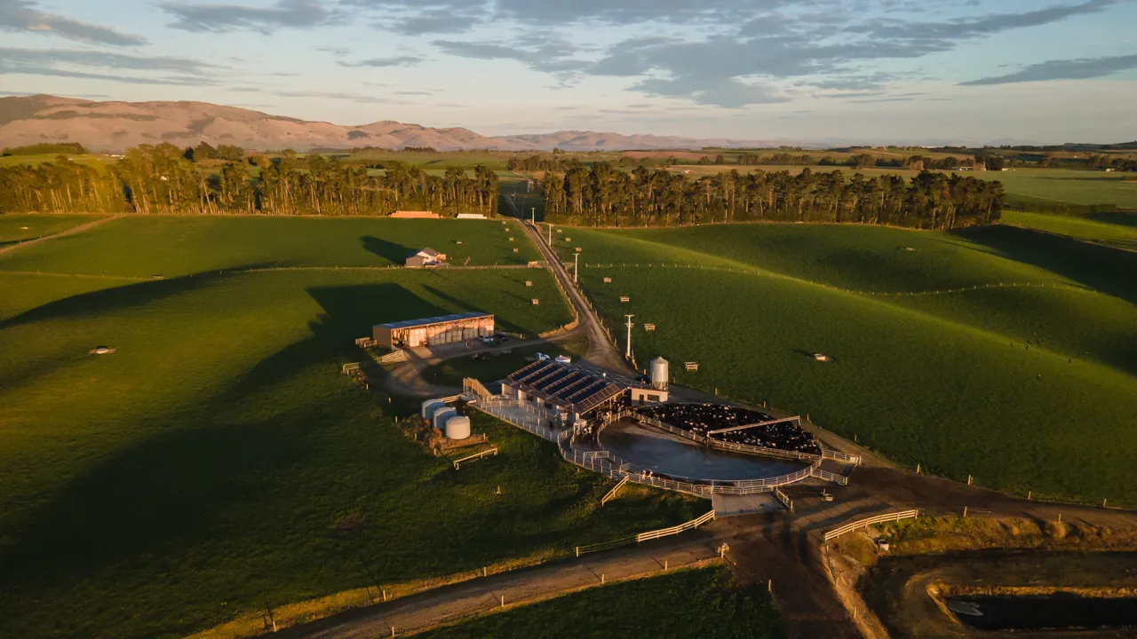 Dairy Pryde - Southland, New Zealand - Credit Great South (6)