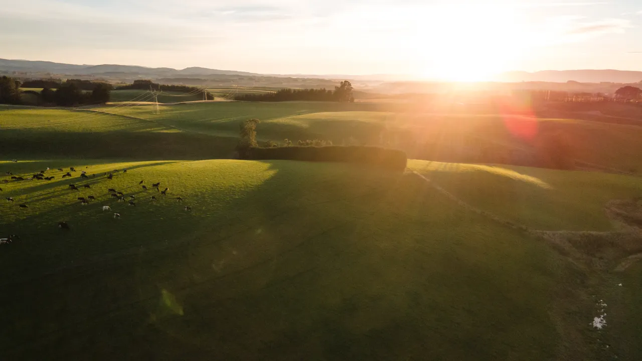 Dairy Pryde - Southland, New Zealand - Credit Great South (4)